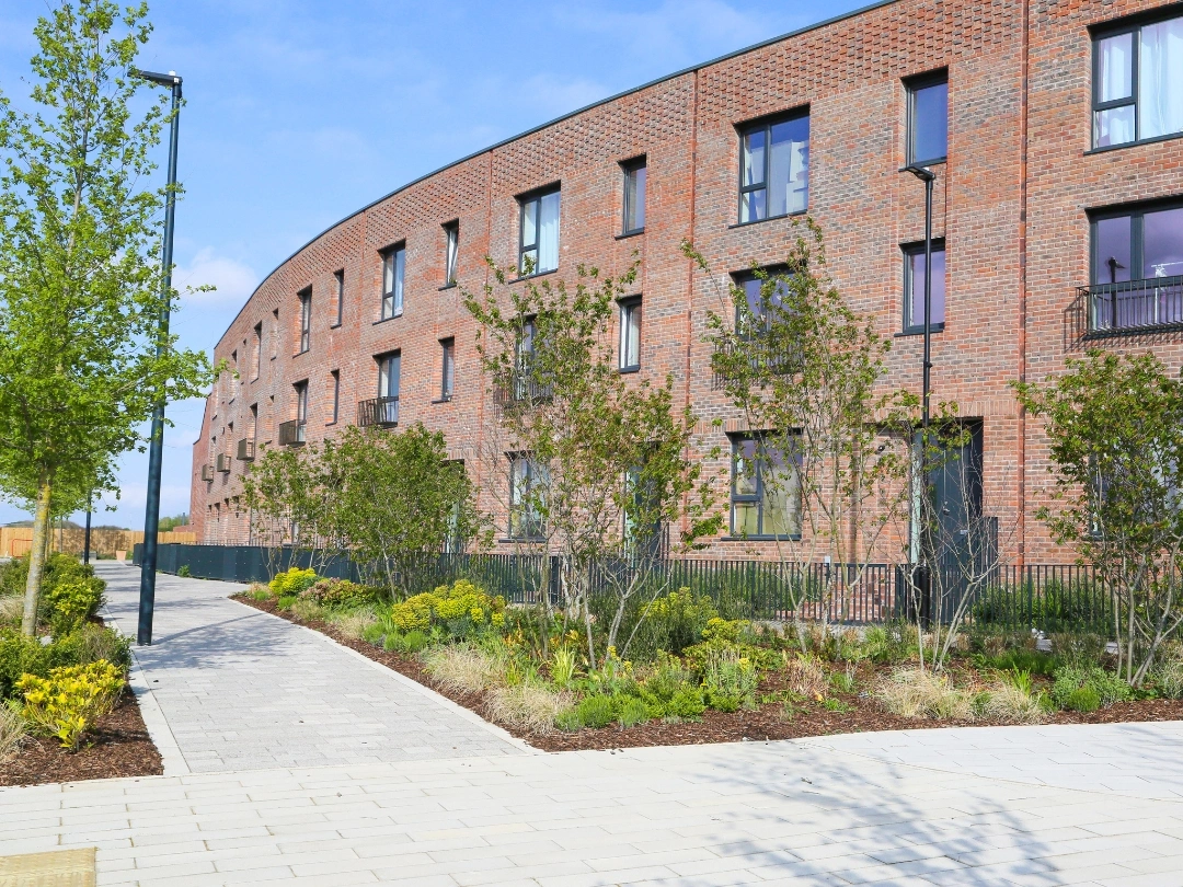 Modern curved brick houses at Brabazon with large windows, surrounded by landscaped greenery, trees, and a paved pedestrian walkway under a clear blue sky.