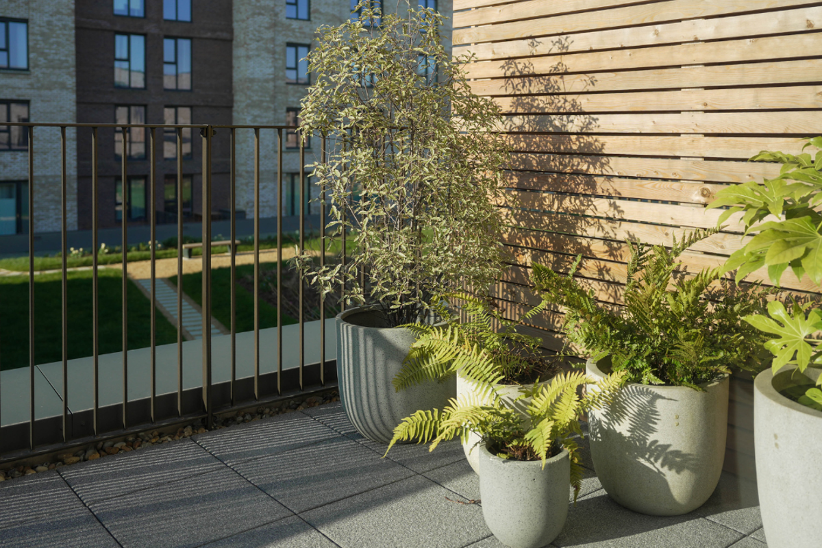 First-floor terrace garden with collection of potted plants, overlooking the Resident's garden.